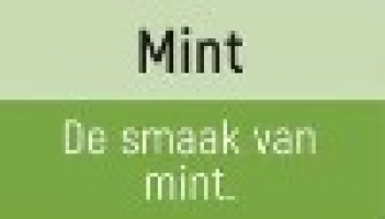 Mint 6 mg Mint 6 mg